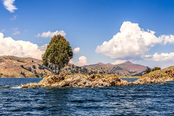 Gölde bir mavi gökyüzü w altında küçük bir kayalık adada yalnız ağaç