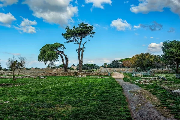 Fák alatt tiszta, kék égbolt, az ősi város romjai — Stock Fotó