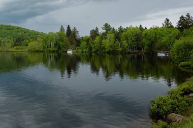 Yeşil çam ağaçları ile göl güzel yansımaları