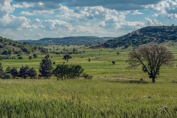 Tepelik bir manzara güzel yeşil alanları