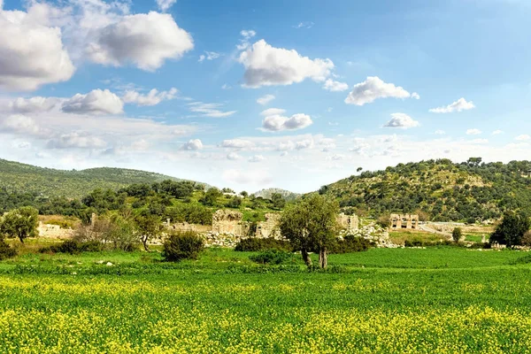 Parte de las ruinas de Patara detrás de exuberantes campos verdes —  Fotos de Stock