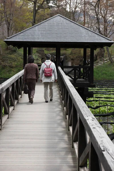 Пара на дерев'яному пішохідному мосту — стокове фото
