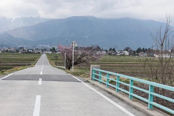 A straight street to mountain — Stock Photo, Image