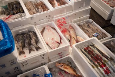 Balıklar rafları tutulur