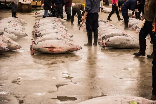 Döda fiskar hålls till salu — Stockfoto