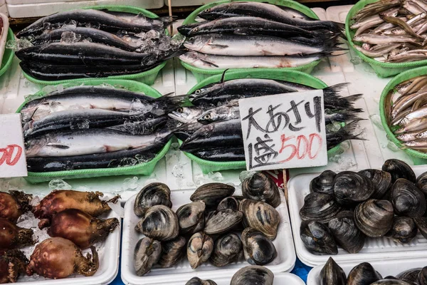 Delicados alimentos japoneses —  Fotos de Stock