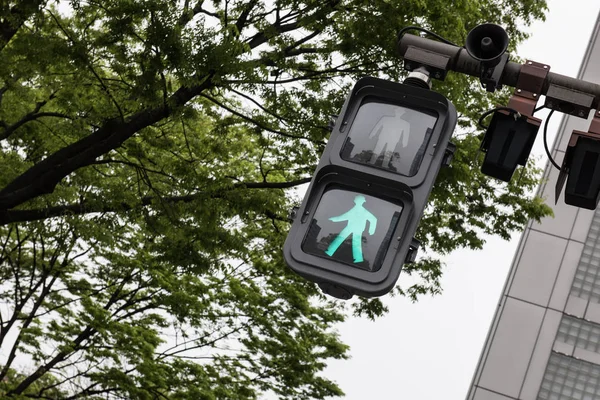 Green signal for walking — Stock Photo, Image