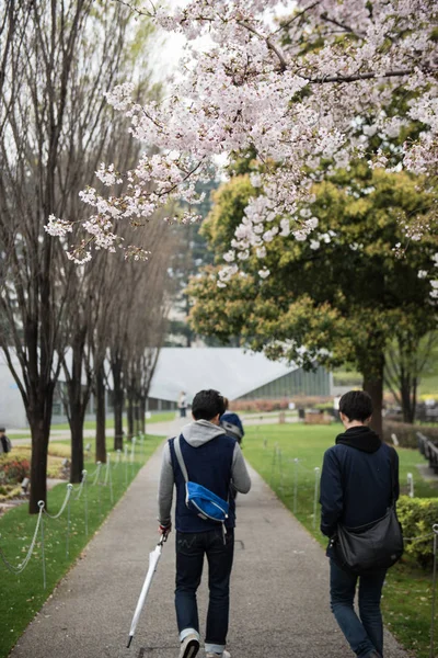 Walking inside a Park — Stock Photo, Image