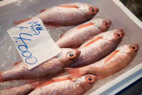 Röd färgade fiskar är förpackas — Stockfoto