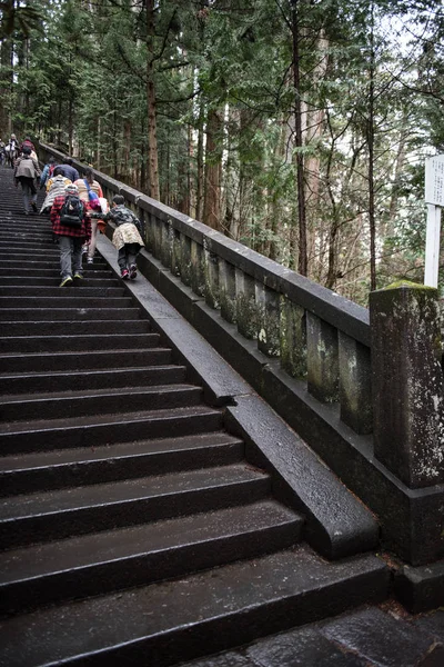 Старовинні сходи в лісі — стокове фото