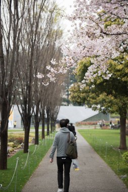 Bir Parkı içinde yürüyüş
