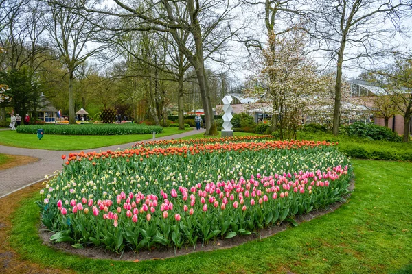 Bloeiende tulpen in de Keukenhof park, Lisse, Holland, Nederland — Stockfoto