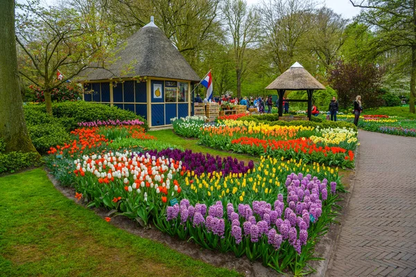 Retro kamieni oraz i tulipany w Keukenhof park, Lisse, Holandia — Zdjęcie stockowe