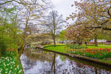 Çiçek açan bir elma ağacı yakınındaki nehrin Keukenhof park, Lisse, Hollanda, Hollanda