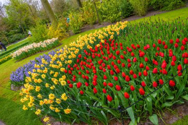 Tuilps ve diğer çiçekler Keukenhof park, Lisse, Hollanda, Hollanda.