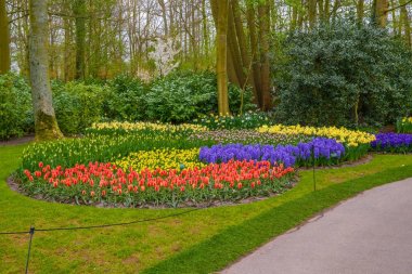 Tuilps ve diğer çiçekler Keukenhof park, Lisse, Hollanda, Hollanda.
