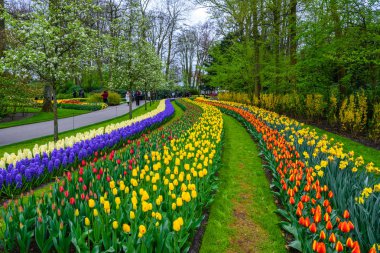 Tuilps ve diğer çiçekler Keukenhof park, Lisse, Hollanda, Hollanda.