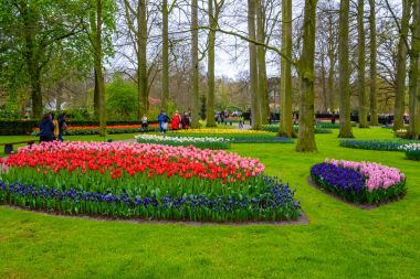 Tuilps ve diğer çiçekler Keukenhof park, Lisse, Hollanda, Hollanda.