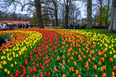 Tuilps ve diğer çiçekler Keukenhof park, Lisse, Hollanda, Hollanda.