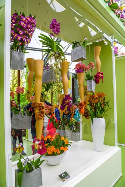 Орхидеи и ноги на высоких каблуках в парке Кеукенхоф, Лиссе, Голландия, Нидерланды — стоковое фото