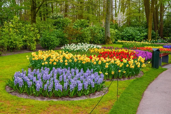 Tuilps und andere blumen im keukenhof park, lisse, holland, niederland. — Stockfoto