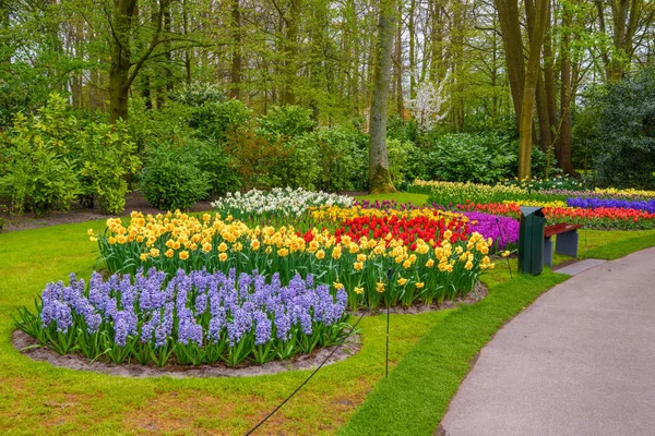 Tuilps a další květiny v Keukenhofu park, Lisse, Holland, Nizozemsko. — Stock fotografie