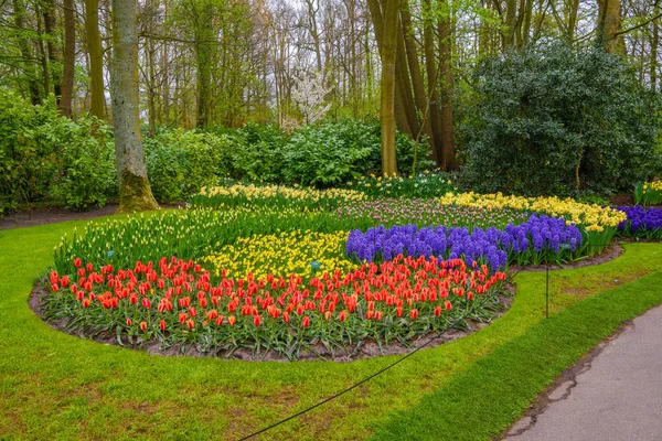 Tuilps i inne kwiaty w Keukenhof park, Lisse, Holandia. — Zdjęcie stockowe