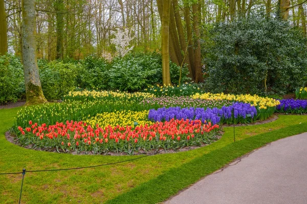 Тюльпаны и другие цветы в парке Кекенфелд, Лиссе, Голландия, Нидерланды . — стоковое фото