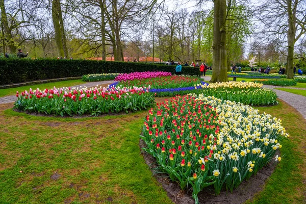 Tuilps i inne kwiaty w Keukenhof park, Lisse, Holandia. — Zdjęcie stockowe