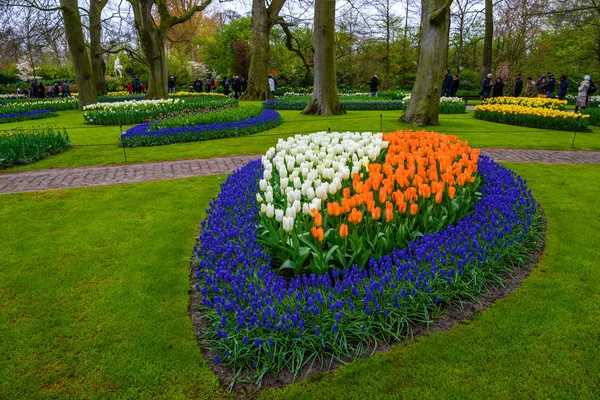 Tuilps a další květiny v Keukenhofu park, Lisse, Holland, Nizozemsko. — Stock fotografie