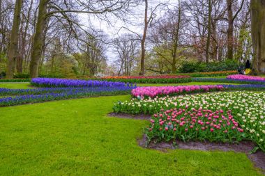 Tuilps ve diğer çiçekler Keukenhof park, Lisse, Hollanda, Hollanda.