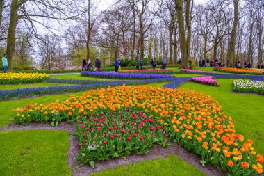 Tuilps ve diğer çiçekler Keukenhof park, Lisse, Hollanda, Hollanda.