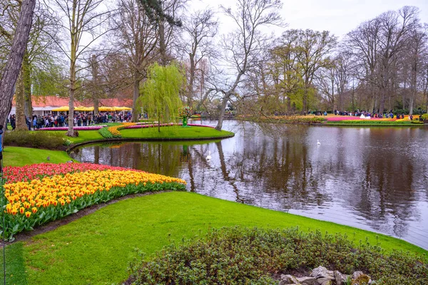 Lake en tulp bloemen in Keukenhof park, Lisse, Holland, Nederland. — Stockfoto