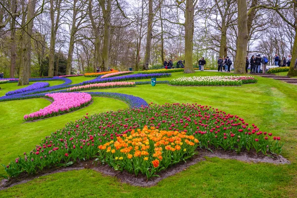 Tuilps e outras flores em Keukenhof park, Lisse, Holland, Netherlands . — Fotografia de Stock