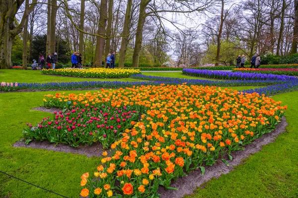 Tuilps i inne kwiaty w Keukenhof park, Lisse, Holandia. — Zdjęcie stockowe