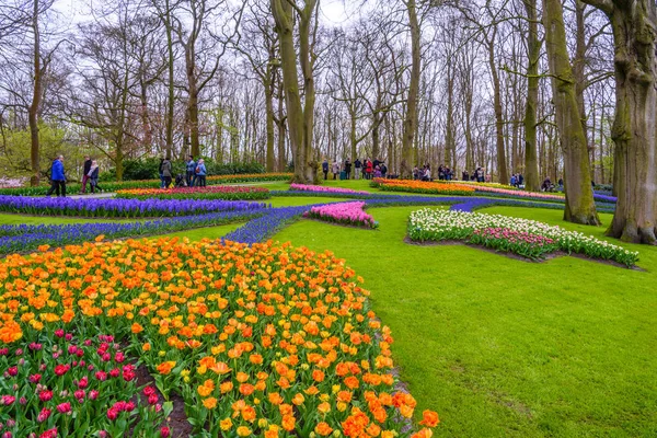 Tuilps e outras flores em Keukenhof park, Lisse, Holland, Netherlands . — Fotografia de Stock