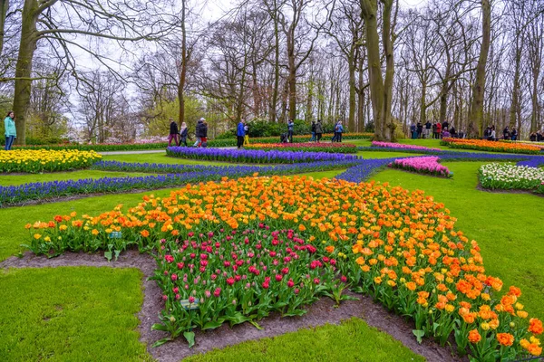 Tuilps y otras flores en Keukenhof park, Lisse, Holland, Netherlands . — Foto de Stock