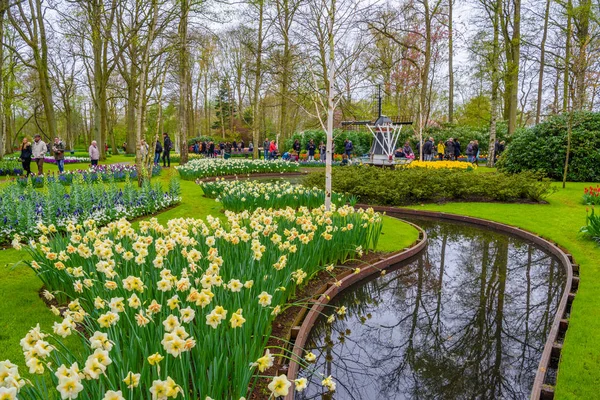 Gele en witte narcissen in de buurt van de rivier in park Keukenhof, Lisse, Holland, Nederland — Stockfoto