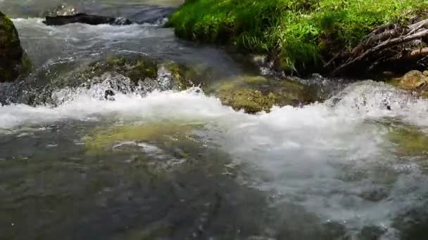 Arroyo de montaña agua limpia — Vídeos de Stock