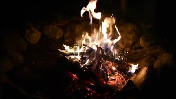 Feuer in der Nacht entzündet — Stockvideo