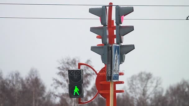 Semáforo en crosswalk — Vídeos de Stock