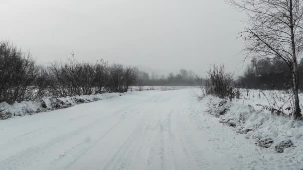 Snowfall on the road — Stock Video