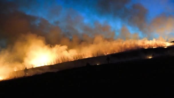 Bosbrand woedde op de hemelachtergrond — Stockvideo