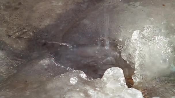 Την άνοιξη. Σταγόνες πέφτουν από την οροφή του πάγου — Αρχείο Βίντεο