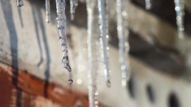 Buz sarkıtları eritebilir. Bahar. Güneş.