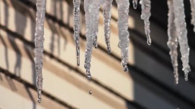 Buz sarkıtları eritebilir. Bahar. Güneş.