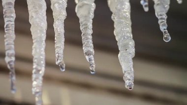 Buz sarkıtları eritebilir. Bahar. Güneş.