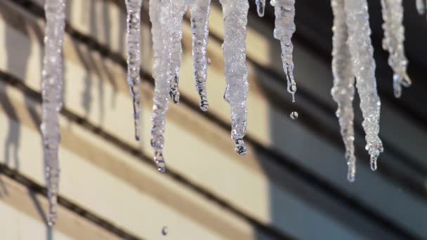 Gli ghiaccioli si sciolgono. Primavera. Sole . — Video Stock