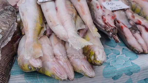 Замороженная рыба на рынке — стоковое видео