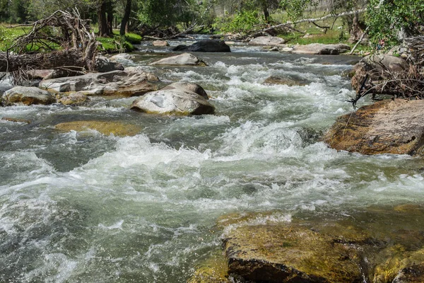 dağ nehri. Altai Cumhuriyeti